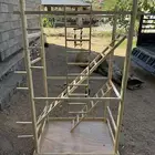 استاندات طيور