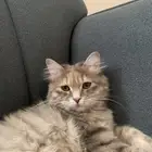 الخرج