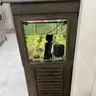 حوض سمك نهري كبير وحوض بحري