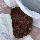 تمر حشف للبيع حق حلال