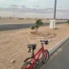 سيكل للبيع