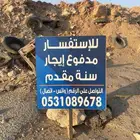 ارض حداده بصناعيه الجديده لتنازل القريات