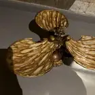 فازه