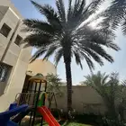 نخله رشوديه