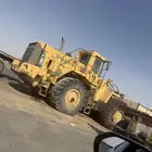 شيول فلفو