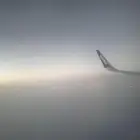 مطلوب روف للإيجار بحي الربوه