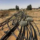 ليات مزارع. هوز مزارع 3 بوصه