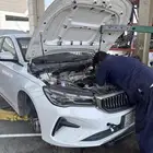 مكاين صيني مع التركيب والضمان