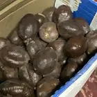 للبيع
