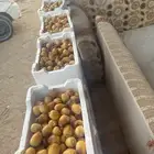 رطب الديره توصيل مجاني توصيل مجاني