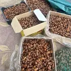 تمر صفري بالكرتون