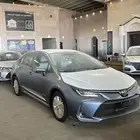 كورلا مطور جنوط 2025