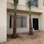 زينه واشنطني
