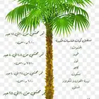تمر محشي