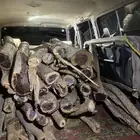 حملت جيب صالون للبيع