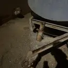وايت