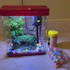 حوض سمك مع اغراضه للبيع