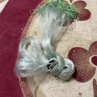 مخادج حق بحر