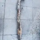 وصله شكمان كامري 2007 الى 2011