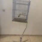 قفص مع ستاند