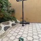 كرة سله مع سله