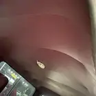 باترول