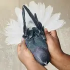 ذكر قطيفي قديم