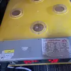 فقاقسه للبيع