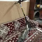 سكوتر كهربائي للبيع شاومي