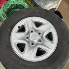 جنوط هدد مع كفرات على السوم