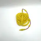 مسباح مساطر
