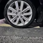 جنوط النترا خليجي