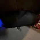 بازوكا بايونير 1200 واط