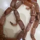 احجار