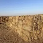 تبن