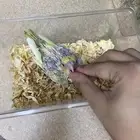 فرخ كروان (( تم البيع ))