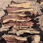 هايلكس لوحه ح ط ب سمر