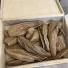 عود مروكي اصقون طبيعي