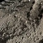 صبيز للبيع مكه المكرمه a1a