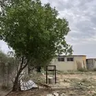 حوش للايجار في بارق تهامه
