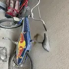 سيكل صاج ردبول