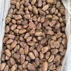 تمر خلاص السعر 200