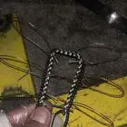 شبك صيد طيور صقور