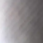 مطلوب نقل خيل من رنية للرياض