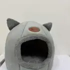 بيت قطط