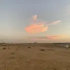 مطلوب مزرعه او شاليه او استراحه ايجار