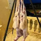 معلم مشويات خاغ