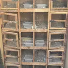 للبيع محاكر حمام   صياد حمام وبيت الحمام