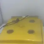 فقاسه 98 بيضه