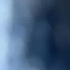 ماعز